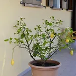 Сasa de vacaciones A Casa Di Amici