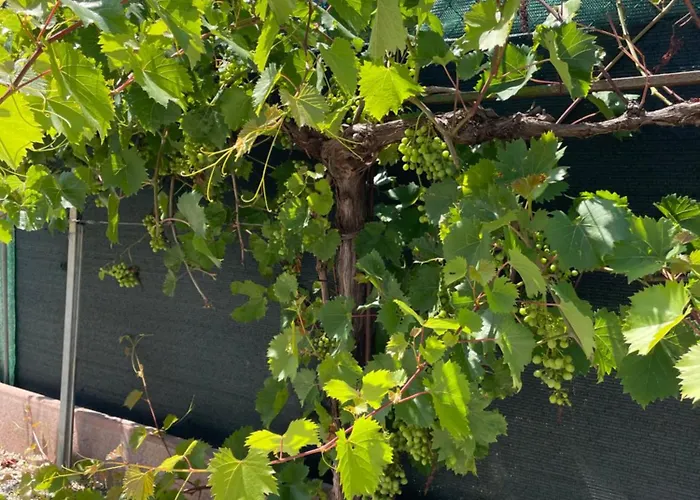 A Casa Di Amici Vidor