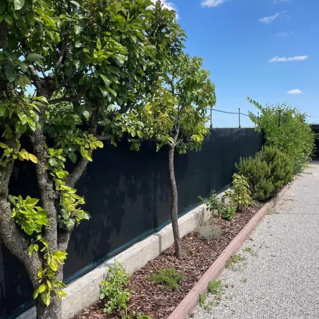 度假居 A Casa Di Amici