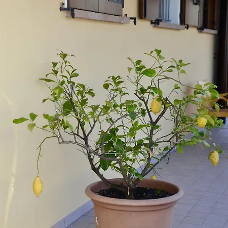 度假居 A Casa Di Amici