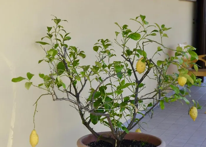 Nyaraló A Casa Di Amici